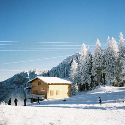 A lodge in the snow beneath pine trees